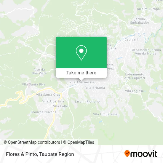 Flores & Pinto map