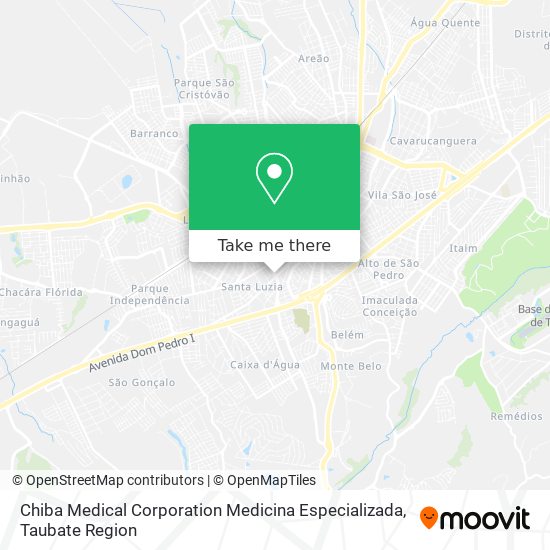 Mapa Chiba Medical Corporation Medicina Especializada