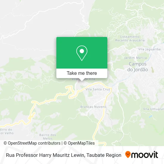 Rua Professor Harry Mauritz Lewin map