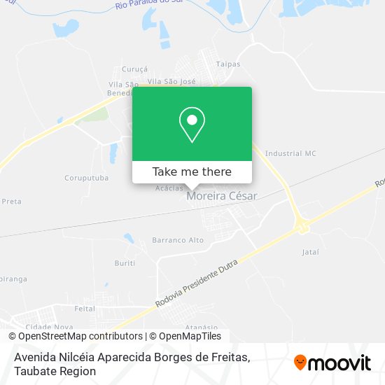 Avenida Nilcéia Aparecida Borges de Freitas map