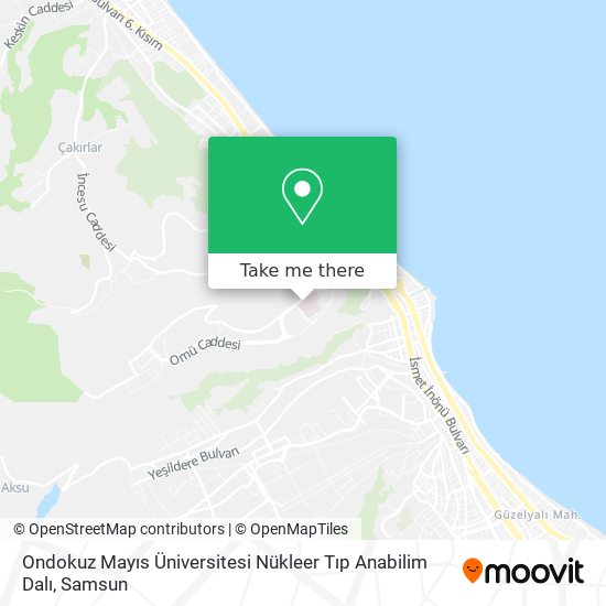Ondokuz Mayıs Üniversitesi Nükleer Tıp Anabilim Dalı map