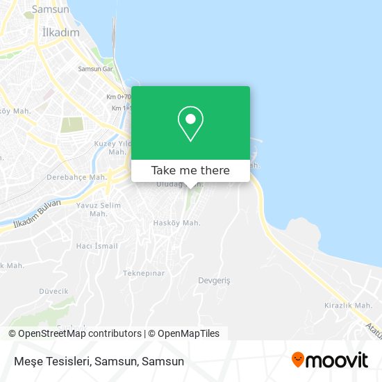 Meşe Tesisleri, Samsun map