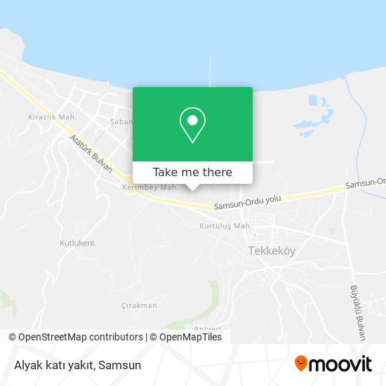 Alyak katı yakıt map