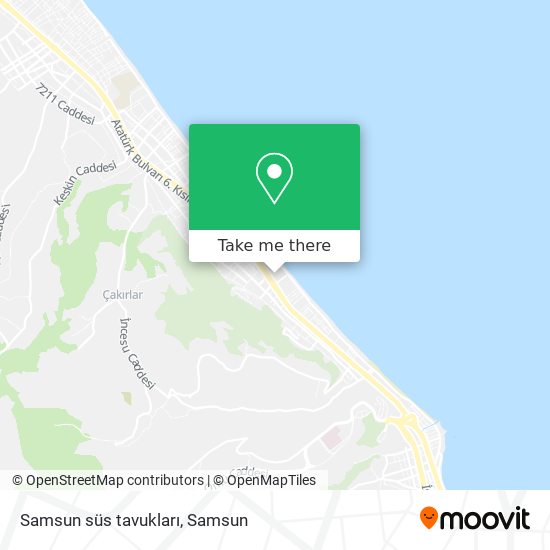 Samsun süs tavukları map