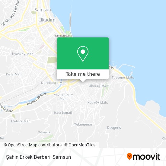 Şahin Erkek Berberi map