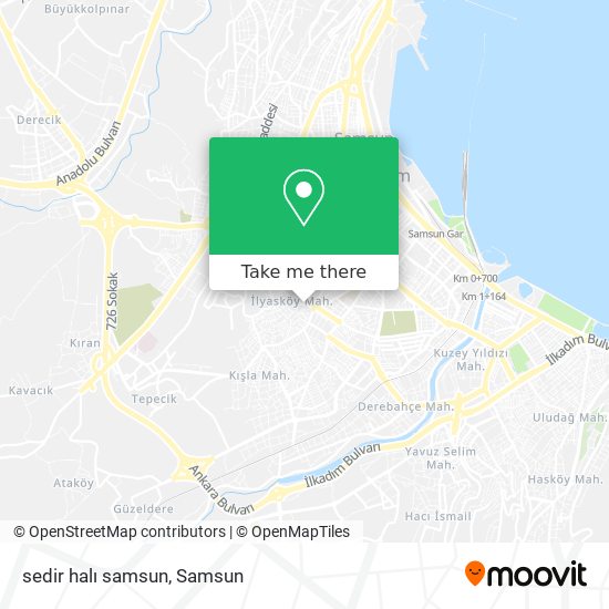 sedir halı samsun map