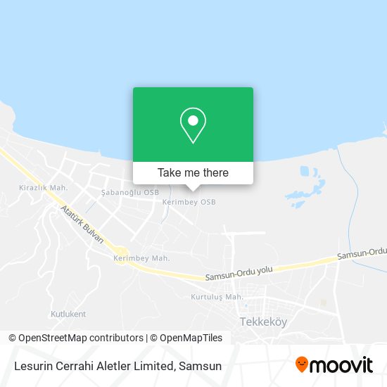 Lesurin Cerrahi Aletler Limited map