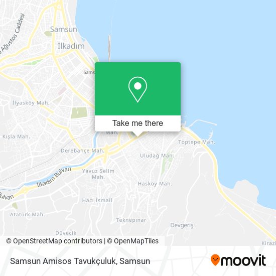 Samsun Amisos Tavukçuluk map