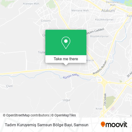 Tadım Kuruyemiş Samsun Bölge Bayi map