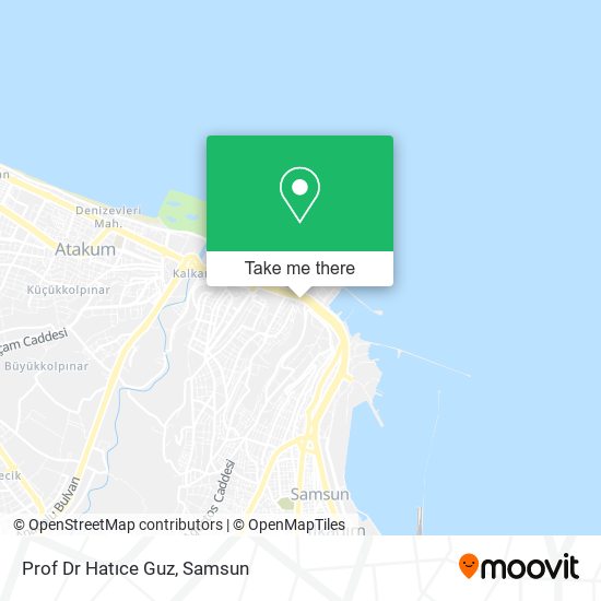 Prof Dr Hatıce Guz map