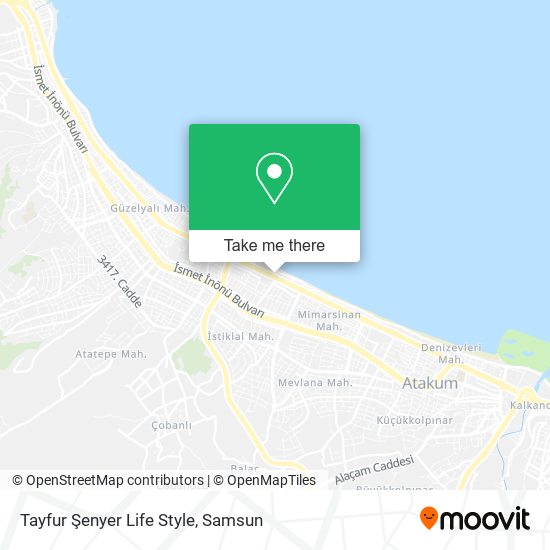 Tayfur Şenyer Life Style map