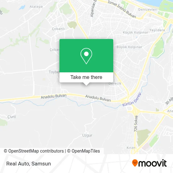 Real Auto map
