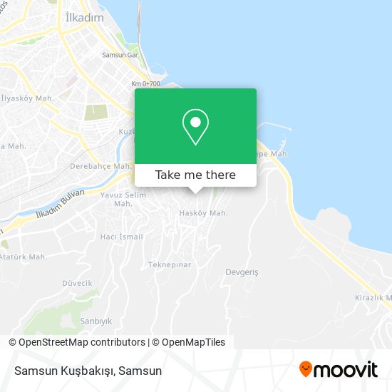Samsun Kuşbakışı map