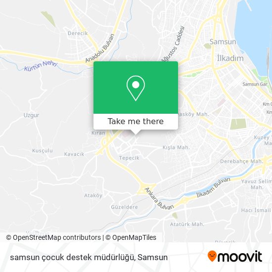 samsun çocuk destek müdürlüğü map