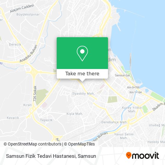 Samsun Fizik Tedavi Hastanesi map