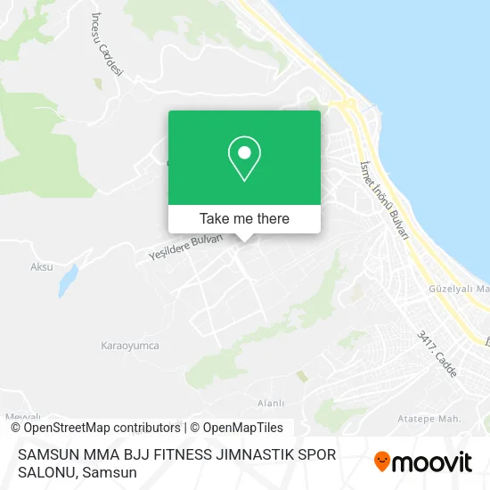 SAMSUN MMA BJJ FITNESS JIMNASTIK SPOR SALONU map