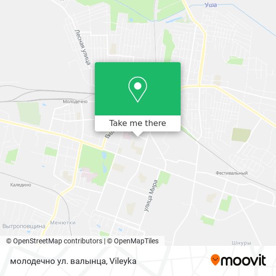 молодечно ул. валынца map