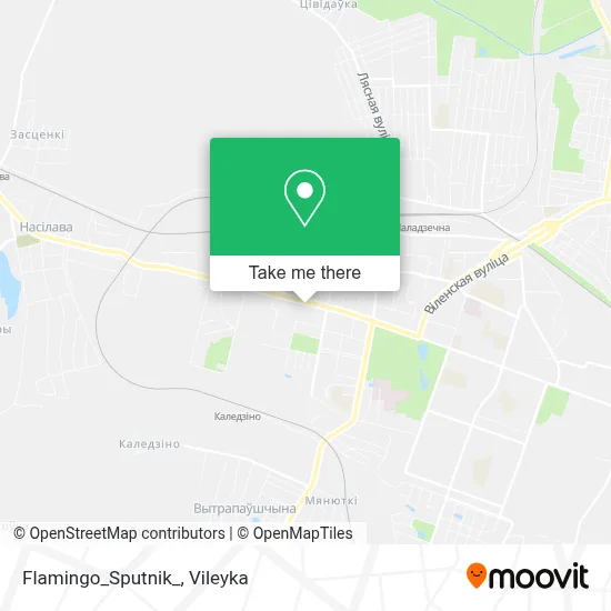 Flamingo_Sputnik_ map