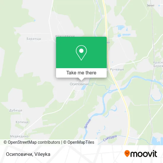 Осиповичи map