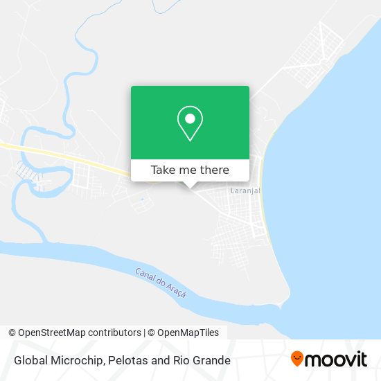 Global Microchip map
