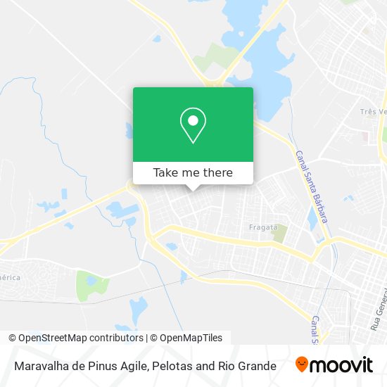 Maravalha de Pinus Agile map