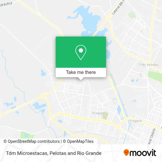 Tdm Microestacas map