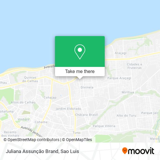 Juliana Assunção Brand map