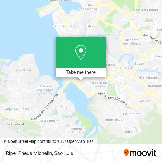 Ripel Pneus Michelin map