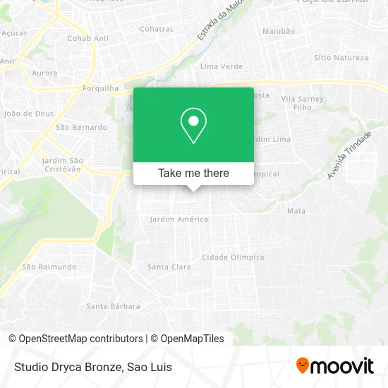 Studio Dryca Bronze map
