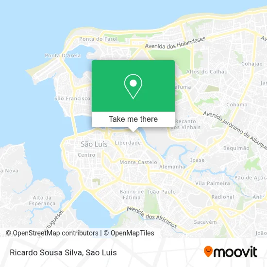 Ricardo Sousa Silva map