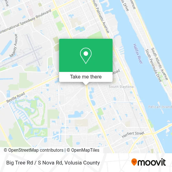 Big Tree Rd / S Nova Rd map