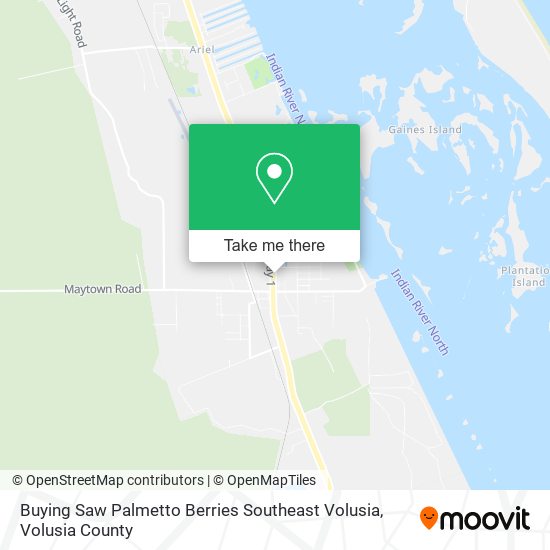 Mapa de Buying Saw Palmetto Berries Southeast Volusia