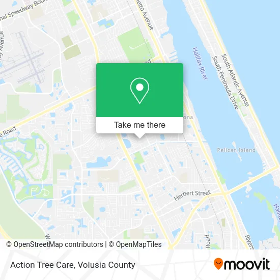Action Tree Care map