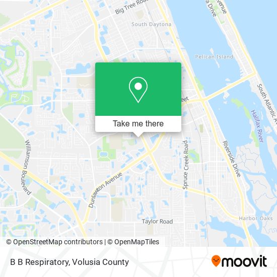 B B Respiratory map