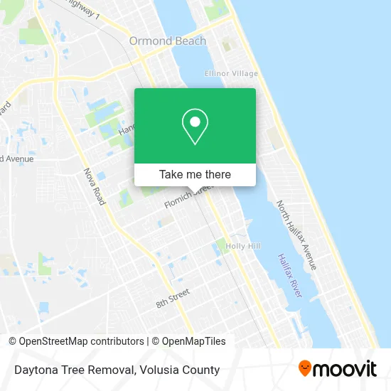 Daytona Tree Removal map