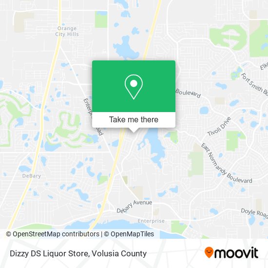 Dizzy DS Liquor Store map