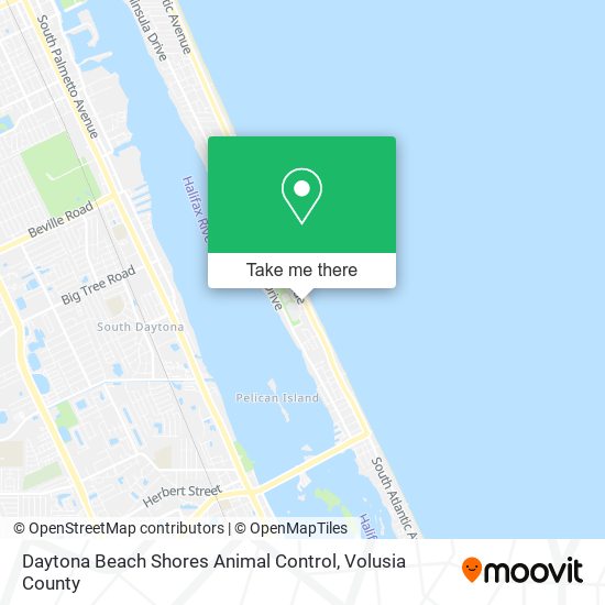 Daytona Beach Shores Animal Control map