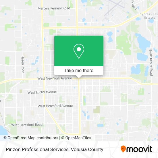 Pinzon Professional Services map