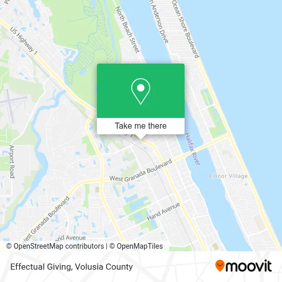 Effectual Giving map