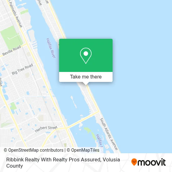 Ribbink Realty With Realty Pros Assured map