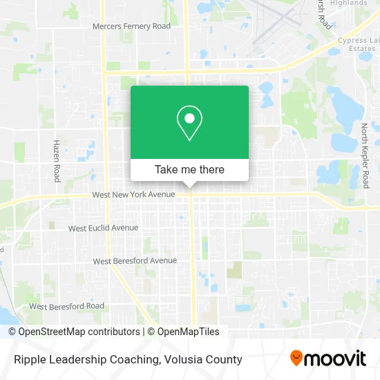 Ripple Leadership Coaching map