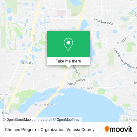 Choices Programs Organization map