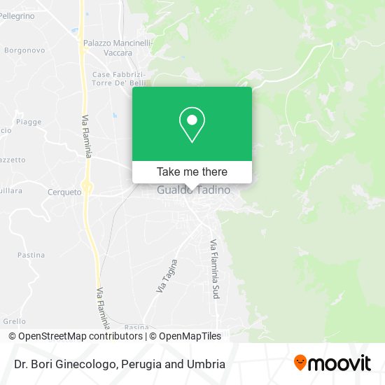 Dr. Bori Ginecologo map