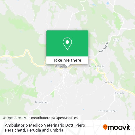 Ambulatorio Medico Veterinario Dott. Piero Persichetti map