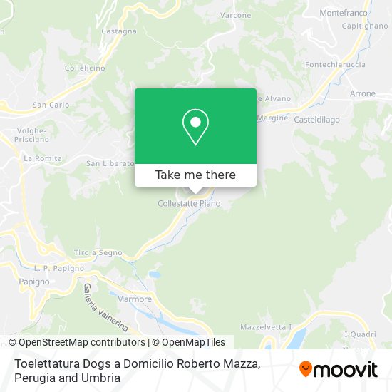 Toelettatura Dogs a Domicilio Roberto Mazza map