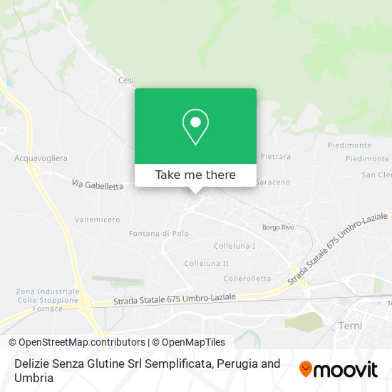 Delizie Senza Glutine Srl Semplificata map