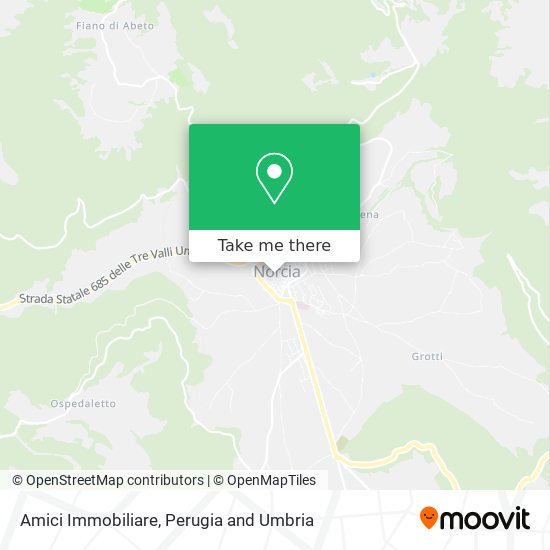 Amici Immobiliare map