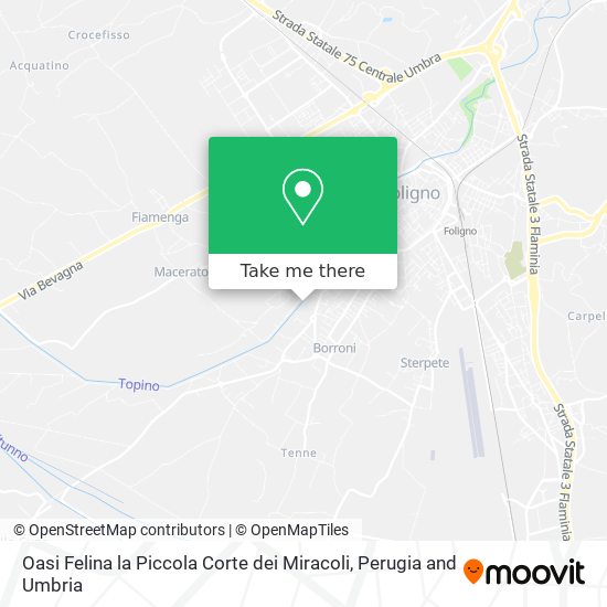 Oasi Felina la Piccola Corte dei Miracoli map