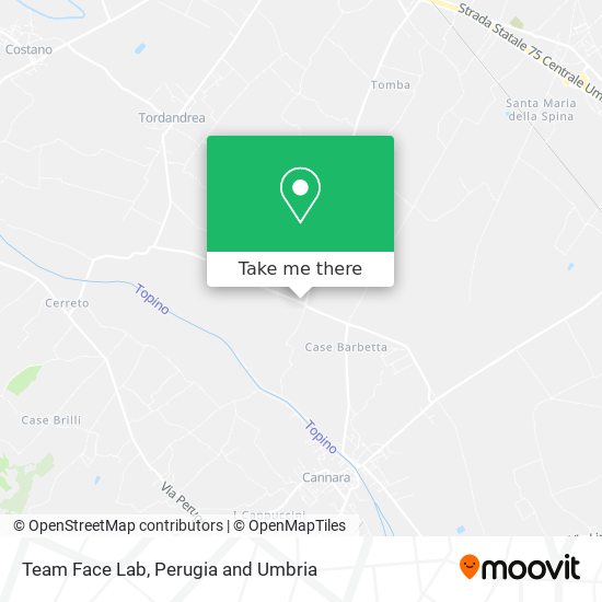 Team Face Lab map