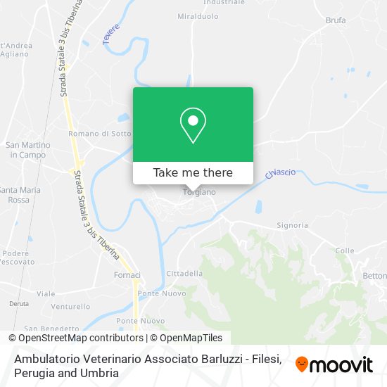 Ambulatorio Veterinario Associato Barluzzi - Filesi map